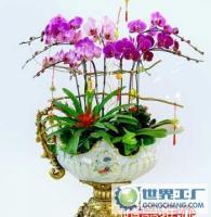 杭州花卉盆景植物租賃租擺服務，世界工廠網供應信息