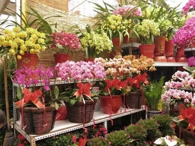 鎮江這20個“之最”，知道一半以上才算是老鎮江人！