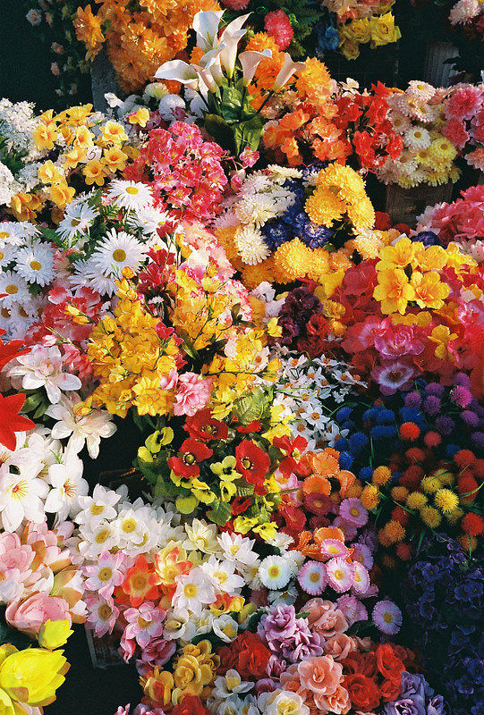 花團(tuán)錦簇的盛宴——當(dāng)絢爛花海遇見(jiàn)香甜水果