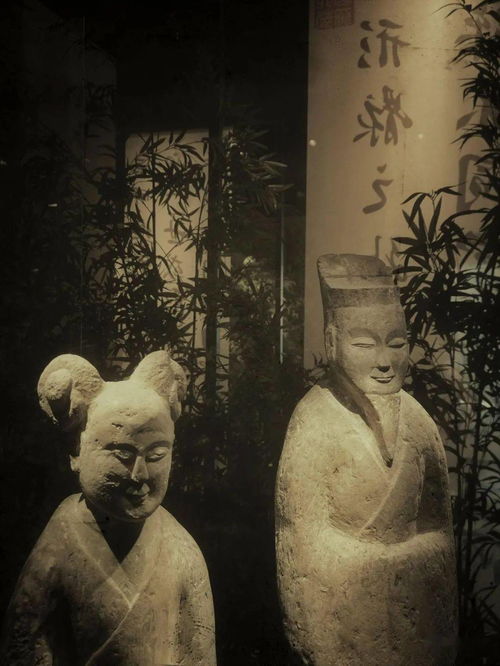光影詩篇，竹韻新生——南京六朝博物館的建筑美學與鋼筋材料的現代演繹